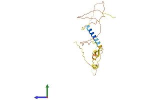 Protein Structure (PS) image for Calcyon Neuron-Specific Vesicular Protein (CALY) (AA 1-217) protein (His tag) (ABIN7552894)