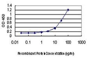 Detection limit for recombinant GST tagged XPO5 is approximately 1ng/ml as a capture antibody. (XPO5 抗体  (AA 1-280))