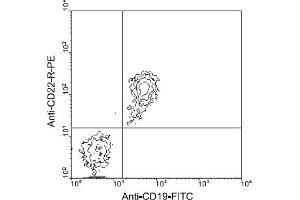 Flow Cytometry (FACS) image for anti-CD22 Molecule (CD22) antibody (PE) (ABIN370869) (CD22 抗体  (PE))