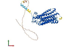 AlphaFold protein structure predicition of Mouse Recombinant Adipor2 Protein, UniprotID Q8BQS5