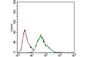 Flow cytometric analysis of MCF-7 cells using MCAM mouse mAb (green) and negative control (red). (MCAM 抗体  (AA 84-189))