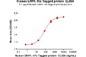 ELISA image for Low Density Lipoprotein Receptor-Related Protein 6 (LRP6) (AA 20-1370) protein (His tag) (ABIN7491293)