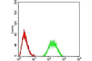 Flow cytometric analysis of HL-60 cells using CD130 mouse mAb (green) and negative control (red).