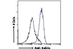 ABIN185110 Flow cytometric analysis of paraformaldehyde fixed A431 cells (blue line), permeabilized with 0.