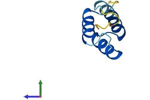 AlphaFold protein structure predicition of Human Recombinant HOPX Protein, UniprotID Q9BPY8