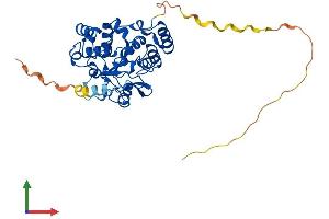 Protein Structure (PS) image for Sulfotransferase Family, Cytosolic, 2B, Member 1 (SULT2B1) (AA 1-365) protein (His tag) (ABIN7546396)