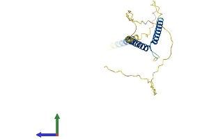 Protein Structure (PS) image for MAX Dimerization Protein 1 (MXD1) (AA 1-227) protein (His tag) (ABIN7563364)