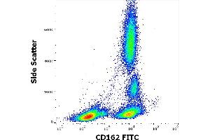 Flow cytometry surface staining pattern of human peripheral whole blood stained using anti-human CD162 (TC2) FITC antibody (20 μL reagent / 100 μL of peripheral whole blood). (SELPLG 抗体  (FITC))