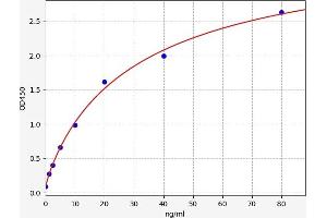 Typical standard curve (MAPK14 ELISA 试剂盒)