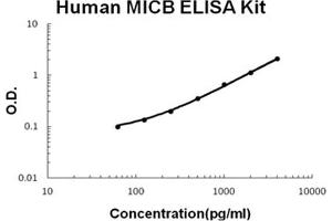 Human MICB Accusignal ELISA Kit Human MICB AccuSignal ELISA Kit standard curve. (MICB ELISA 试剂盒)