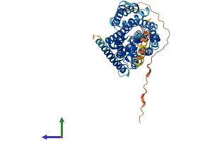 Protein Structure (PS) image for Solute Carrier Family 38, Member 2 (SLC38A2) (AA 1-504) protein (His tag) (ABIN7559304)