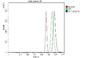 Flow Cytometry analysis of Neuro-2a cells using anti-splicing factor 1 antibody (ABIN7600193). (Splicing Factor 1 抗体  (AA 160-266))