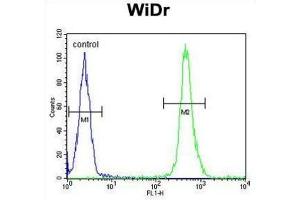 Flow Cytometry (FACS) image for anti-Vacuolar Protein Sorting-Associated Protein 26A (VPS26A) antibody (ABIN3003886) (VPS26A 抗体)