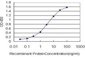 Detection limit for recombinant GST tagged PMS1 is approximately 0. (PMS1 抗体  (AA 26-135))