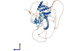 Protein Structure (PS) image for rho GTPase Activating Protein 24 (ARHGAP24) (AA 1-747) protein (His tag) (ABIN7564514)