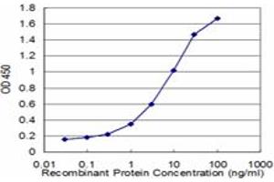 Detection limit for recombinant GST tagged BCR is approximately 0. (BCR 抗体  (AA 182-280))