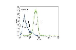 GATA4 Antibody (C-term) (ABIN388153 and ABIN2846917) flow cytometric analysis of HepG2 cells (right histogram) compared to a negative control cell (left histogram). (GATA4 抗体  (C-Term))