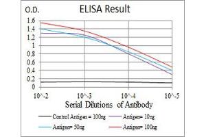 ELISA image for anti-NADPH Oxidase 4 (NOX4) (AA 210-310) antibody (ABIN5542344)
