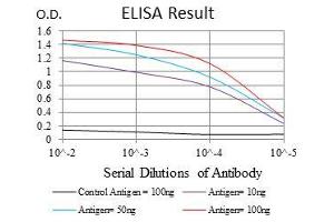 Black line: Control Antigen (100 ng), Purple line: Antigen(10 ng), Blue line: Antigen (50 ng), Red line: Antigen (100 ng), (PPP2R4 抗体)