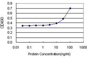 Sandwich ELISA detection sensitivity ranging from 10 ng/mL to 100 ng/mL. (IFNAR1 (人) Matched Antibody Pair)