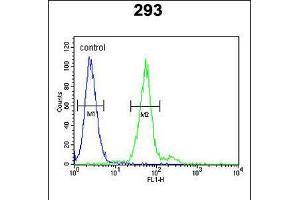 Flow cytometric analysis of 293 cells (right histogram) compared to a negative control cell (left histogram). (TPSAB1 抗体  (AA 61-87))