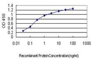 Detection limit for recombinant GST tagged SNCAIP is approximately 0. (SNCAIP 抗体  (AA 206-309))