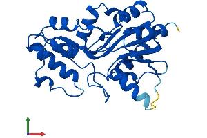 AlphaFold protein structure predicition of Human Recombinant PHOSPHO2 Protein, UniprotID Q8TCD6