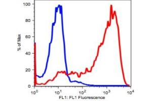 Image no. 2 for anti-CD7 (CD7) antibody (ABIN2704319) (CD7 抗体)