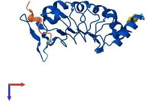 Leucine Rich Transmembrane and 0-Methyltransferase Domain Containing (LRTOMT) (AA 1-192) protein (His tag)