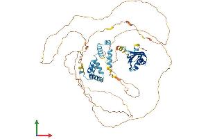 Protein Structure (PS) image for Cleavage Stimulation Factor, 3' Pre-RNA, Subunit 2, 64kDa, tau Variant (CSTF2T) (AA 1-616) protein (His tag) (ABIN7546841)