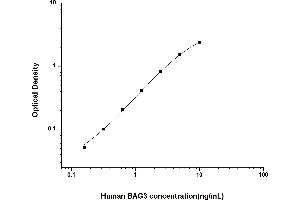 Typical standard curve (BAG3 ELISA 试剂盒)