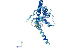 Protein Structure (PS) image for ADP-Ribosylation-Like Factor 6 Interacting Protein 5 (Arl6ip5) (AA 1-188) protein (His tag) (ABIN7550955)