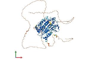 Protein Structure (PS) image for DEAD Box Protein 4 (DDX4) (AA 1-702) protein (His tag) (ABIN7563916)