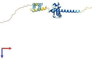 Lin-7 Homolog A (LIN7A) (AA 1-233) protein (His tag)