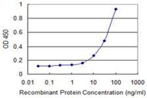 Detection limit for recombinant GST tagged MAGED1 is 1 ng/ml as a capture antibody. (MAGED1 抗体  (AA 1-778))