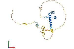Protein Structure (PS) image for NK3 Homeobox 1 (NKX3-1) (AA 1-237) protein (His tag) (ABIN7556806)