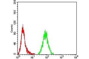 Flow Cytometry (FACS) image for anti-Tubulin, beta 3 (TUBB3) antibody (ABIN7193512)