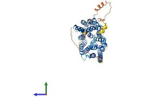 AlphaFold protein structure predicition of Human Recombinant SLC16A1 Protein, UniprotID P53985 (SLC16A1 Protein (AA 1-500) (His tag))