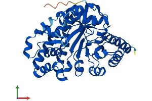 Protein Structure (PS) image for Uroporphyrinogen Decarboxylase (UROD) (AA 1-367) protein (His tag) (ABIN7556736)