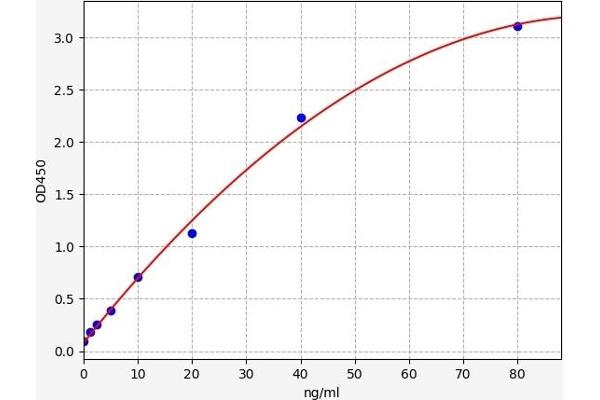FBLN3 ELISA 试剂盒