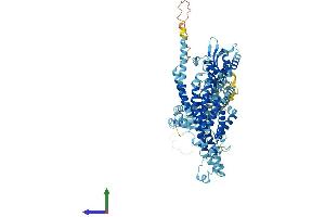 Protein Structure (PS) image for ATPase, H+ Transporting, Lysosomal V0 Subunit A4 (ATP6V0A4) (AA 1-840) protein (His tag) (ABIN7556028)