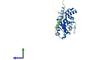 AlphaFold protein structure predicition of Human Recombinant GIMAP1 Protein, UniprotID Q8WWP7 (GTPase, IMAP Family Member 1 (GIMAP1) (AA 1-306) protein (His tag))