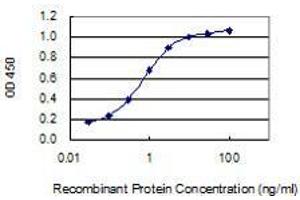 Detection limit for recombinant GST tagged CD302 is 0. (DCL1 抗体  (AA 1-170))