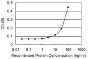 Detection limit for recombinant GST tagged GSTT1 is 3 ng/ml as a capture antibody. (GSTT1 抗体  (AA 1-240))