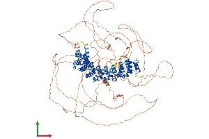 Protein Structure (PS) image for Pumilio Homolog 2 (Drosophila) (PUM2) (AA 1-1066) protein (His tag) (ABIN7555096)