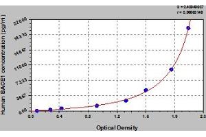Typical Standard Curve (BACE1 ELISA 试剂盒)