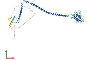 Protein Structure (PS) image for Beclin 1, Autophagy Related (BECN1) (AA 1-450) protein (His tag) (ABIN7552579)