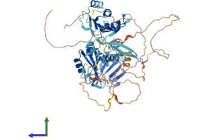 Protein Structure (PS) image for APOBEC1 Complementation Factor (A1CF) (AA 1-595) protein (His tag) (ABIN7557577)