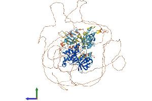 AlphaFold protein structure predicition of Human Recombinant PASK Protein, UniprotID Q96RG2