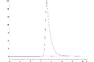 The purity of Human CD23/Fc epsilon RII is greater than 95 % as determined by SEC-HPLC. (FCER2 Protein (His tag))